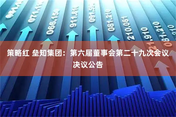 策略红 垒知集团：第六届董事会第二十九次会议决议公告