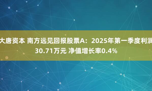 大唐资本 南方远见回报股票A：2025年第一季度利润30.71万元 净值增长率0.4%