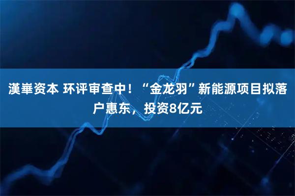 漢崋资本 环评审查中！“金龙羽”新能源项目拟落户惠东，投资8亿元